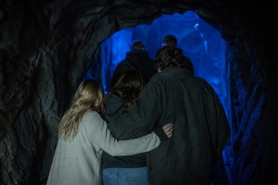 Group of visitors entering the dark attraction entrance together